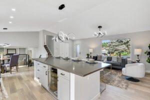 10_dsc_8665dsc_8667_mls_1679110701